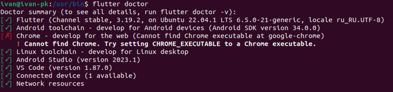 Chrome - develop for the web (Cannot find Chrome executable at google-chrome)